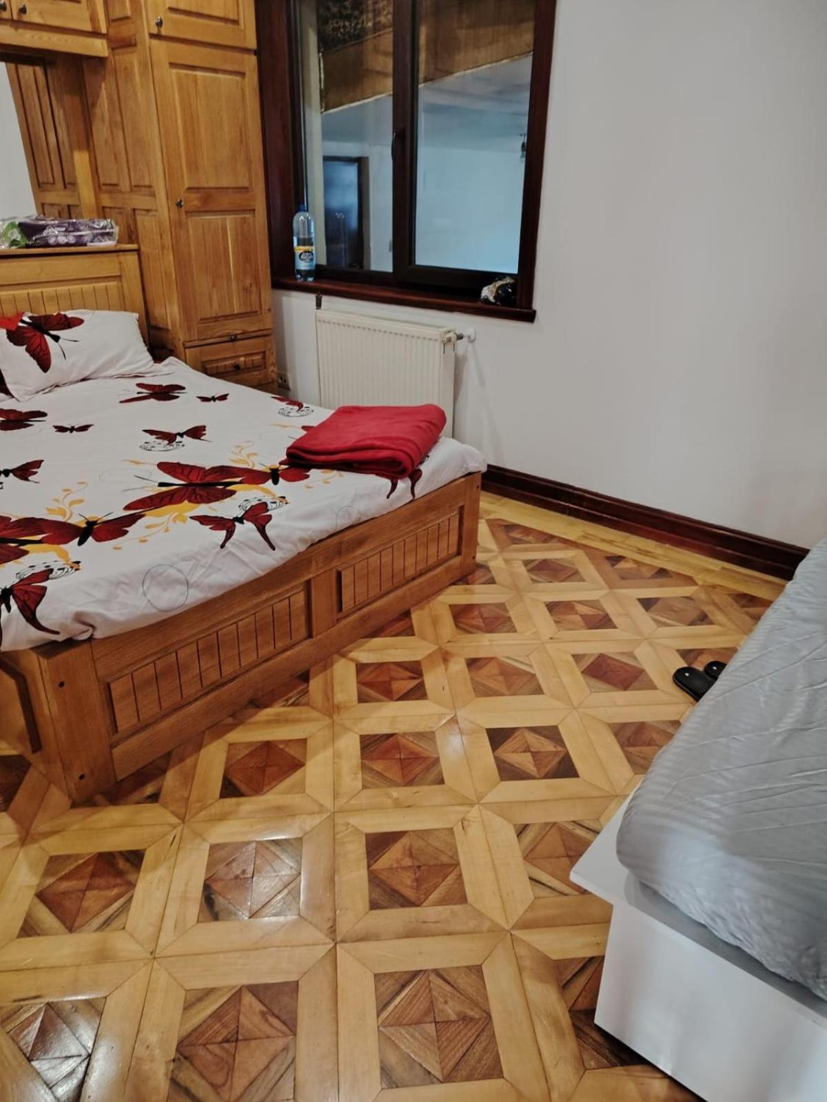 Casa De Vacanta Târgu Jiu Zewnętrze zdjęcie